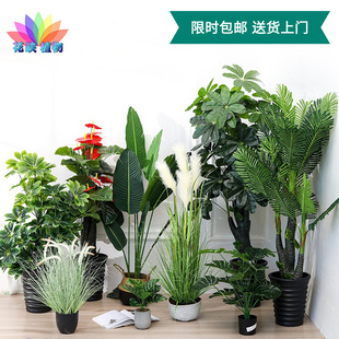 Artificial Artificial Lawn Carpet Turf Engineering Kindergarten Lawn Football Artificial Turf Outdoor Wedding Fake Lawn