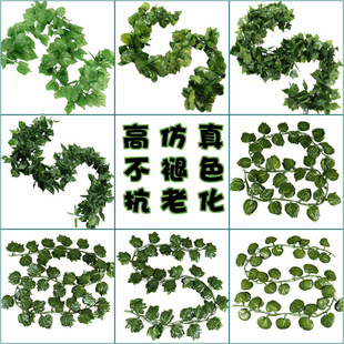 Plant Wall Green Plant Background Wall Milan Plastic Fake Lawn Wall Door Interior Decorative Plant Flower Wall Whole Plant Wall Green Plant Background Wall Milan Plastic Fake Lawn Wall Door Interior Decorative Plant Flower Wall Whole