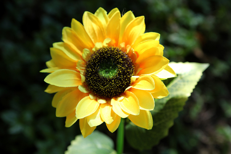 Lotus Lantern Solar Sunflower Simulation Lily Festive Lantern Common Calla Garden Lamp Chrysanthemum Rose Lawn Lamp