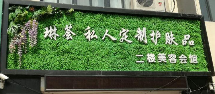 Background Wall Plastic Lawn Green Plant Wall Door Head Shop Recruitment Image Wall Artificial Flower Wall Decoration Background Wall Plastic Lawn Green Plant Wall Door Head Shop Recruitment Image Wall Artificial Flower Wall Decoration
