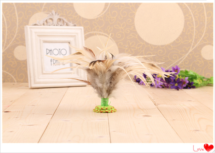 Shuttlecock with Shuttlecock and Shuttlecock