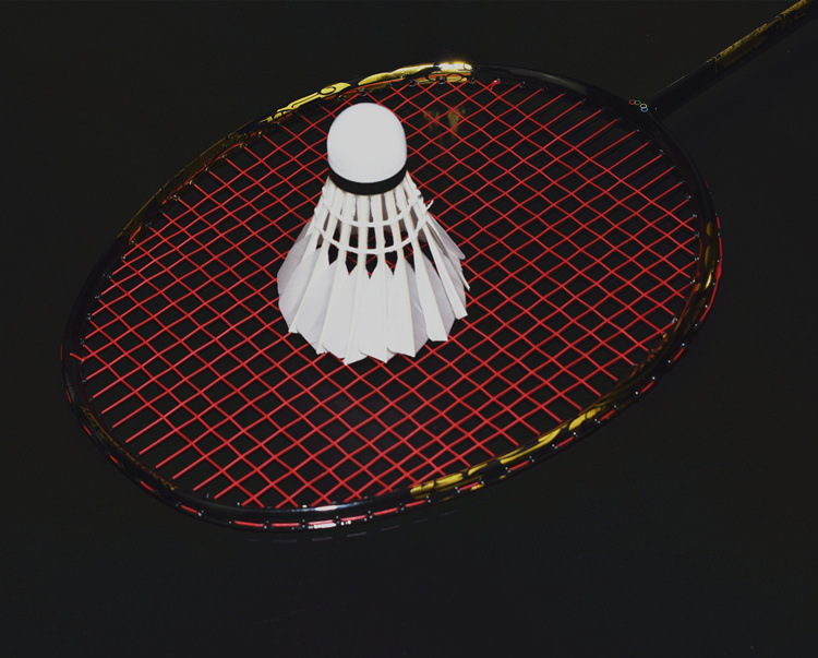 Factory Wholesale Auryder Shuttlecock Training Ball Three Pack Badminton Authentic OEM Flight Stable Durable