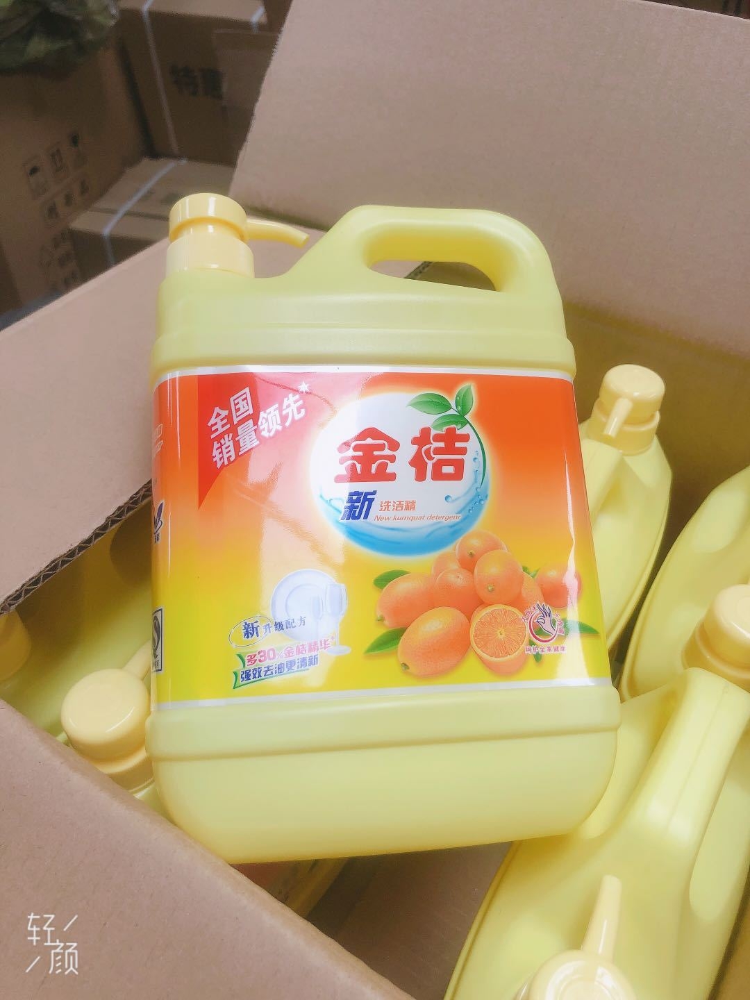Kumquat Detergent Factory Direct Sales
