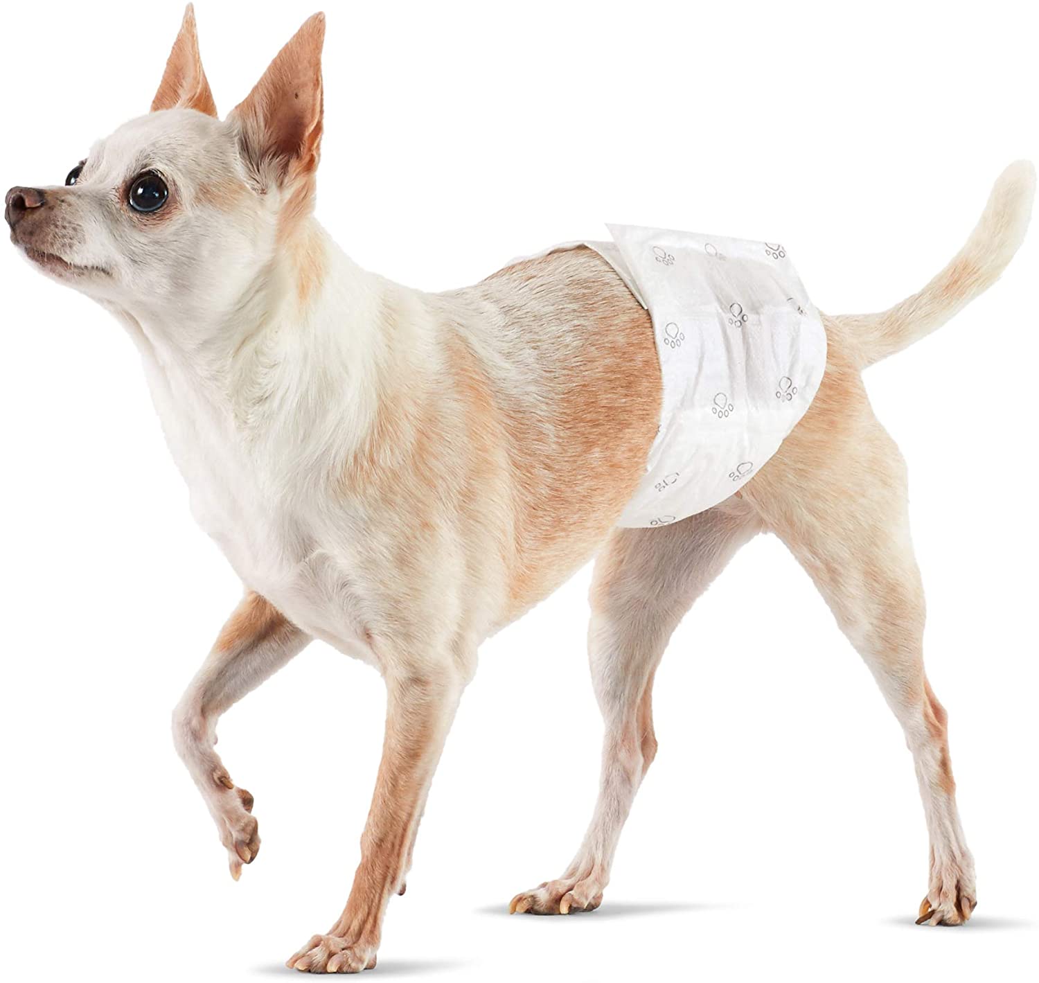 OEM Soft Non-Woven Fabric Pet Physiological Pants Dog Sanitary Napkins Pet Dog Diapers Security Underwear
