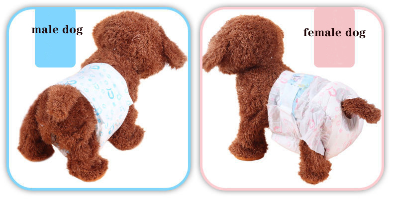 OEM Soft Non-Woven Fabric Pet Physiological Pants Dog Sanitary Napkins Pet Dog Diapers Security Underwear OEM Soft Non-Woven Fabric Pet Physiological Pants Dog Sanitary Napkins Pet Dog Diapers Security Underwear