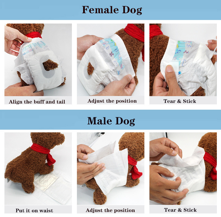 OEM Soft Non-Woven Fabric Pet Physiological Pants Dog Sanitary Napkins Pet Dog Diapers Security Underwear OEM Soft Non-Woven Fabric Pet Physiological Pants Dog Sanitary Napkins Pet Dog Diapers Security Underwear