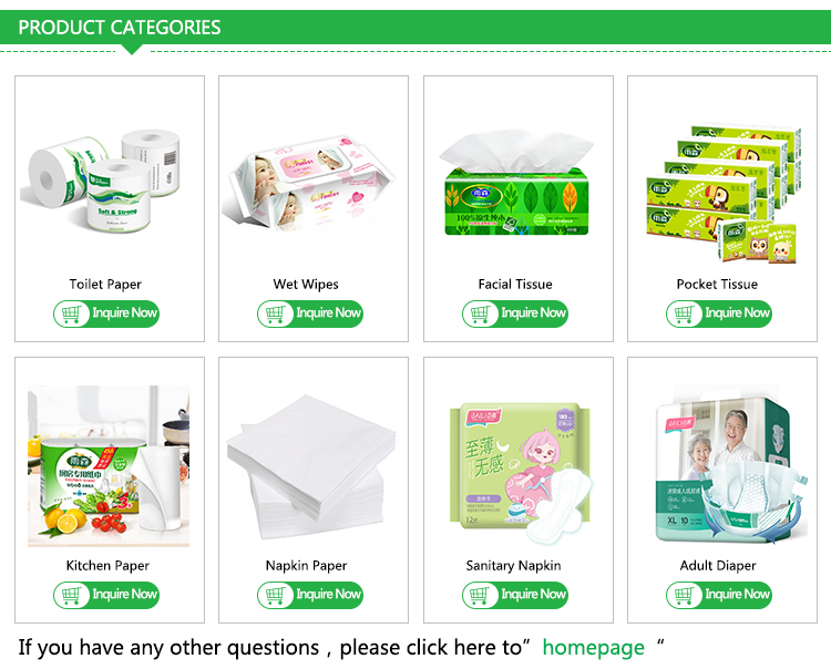 OEM Soft Non-Woven Fabric Pet Physiological Pants Dog Sanitary Napkins Pet Dog Diapers Security Underwear OEM Soft Non-Woven Fabric Pet Physiological Pants Dog Sanitary Napkins Pet Dog Diapers Security Underwear