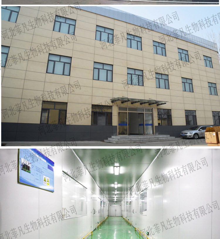 SOURCE Factory Steam Eyeshade Custom Self-Heating Sleep Hot Compress Eye Mask Processing Wormwood Eye Mask Wholesale