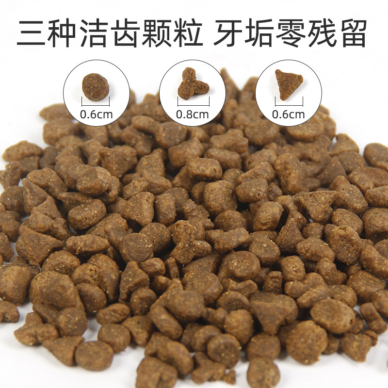 5.8z Newton Cat Food T22 Chicken T24 Salmon 12 Pounds Imported from Canada 5.45kg One Piece Free Shipping