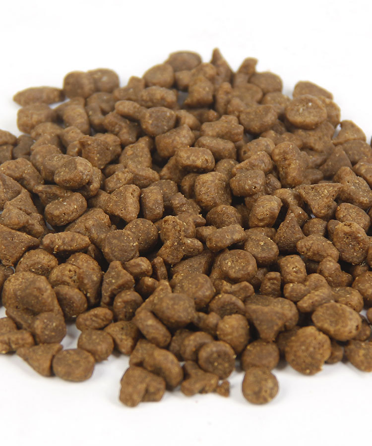 5.8z Newton Cat Food T22 Chicken T24 Salmon 12 Pounds Imported from Canada 5.45kg One Piece Free Shipping 5.8z Newton Cat Food T22 Chicken T24 Salmon 12 Pounds Imported from Canada 5.45kg One Piece Free Shipping