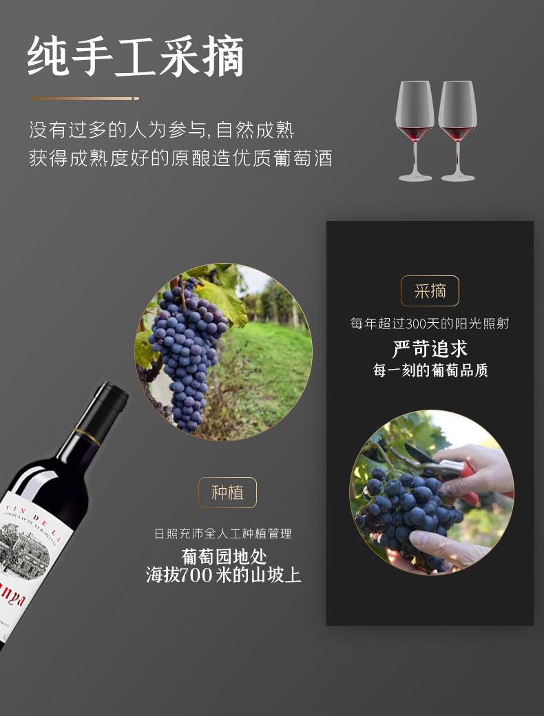 Original French Bottle Imported Red Wine Cabernet Dry Red Wine 14 Degrees AOC Blend Brewed Whole Box Wholesale Gift