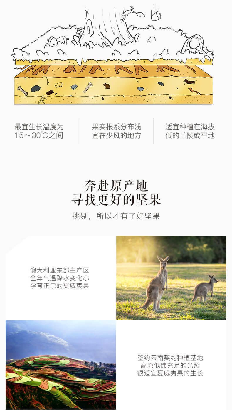 [Three Squirrels_Macadamia Nut 160G] Leisure Food Snacks Nuts Specialty Dried Fruit Butter Flavor