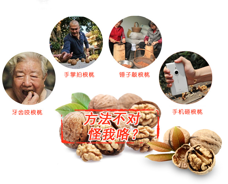 Walnut Clip Peeling Kitchen Clip Pecan Shell Separator Tool Siberian Hazelnut Clip Dried Fruit Nut Pliers Pine Nuts Clip Walnut Clip Peeling Kitchen Clip Pecan Shell Separator Tool Siberian Hazelnut Clip Dried Fruit Nut Pliers Pine Nuts Clip
