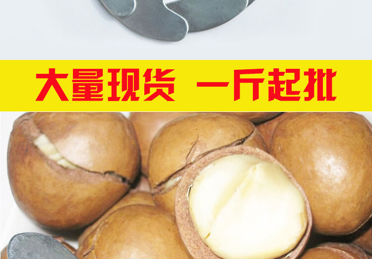 Macadamia Nut Mouth Gag Nuts Mouth Gag Ultrahard Thickened Fruit Opener Egg Opener Master Key 6A