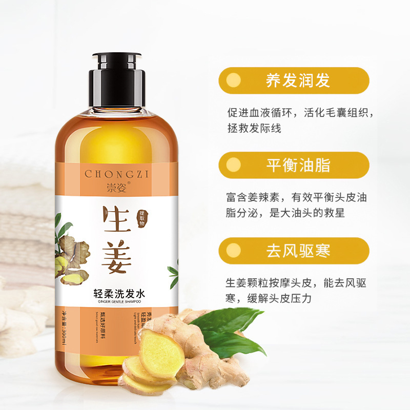 Ginger Shampoo Antioff Oil Control AntiDandruf and Relieve Itching Shampoo Tea Seed Oil Hair Conditioner Whole Delivery