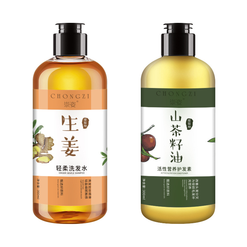 Ginger Shampoo Antioff Oil Control AntiDandruf and Relieve Itching Shampoo Tea Seed Oil Hair Conditioner Whole Delivery