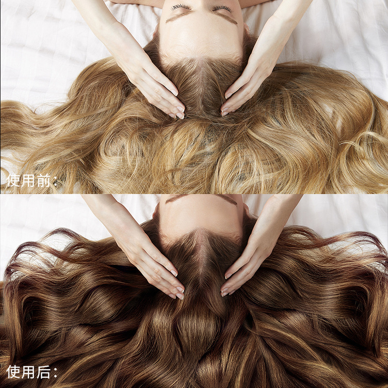 Ginger Shampoo Antioff Oil Control AntiDandruf and Relieve Itching Shampoo Tea Seed Oil Hair Conditioner Whole Delivery