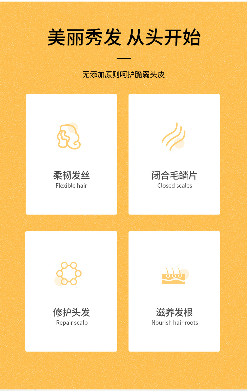 Ginger Shampoo Antioff Oil Control AntiDandruf and Relieve Itching Shampoo Tea Seed Oil Hair Conditioner Whole Delivery