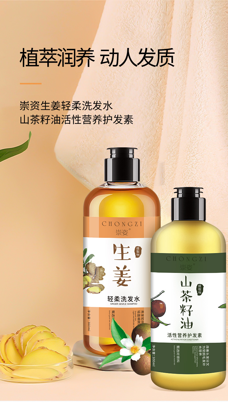 Ginger Shampoo Antioff Oil Control AntiDandruf and Relieve Itching Shampoo Tea Seed Oil Hair Conditioner Whole Delivery