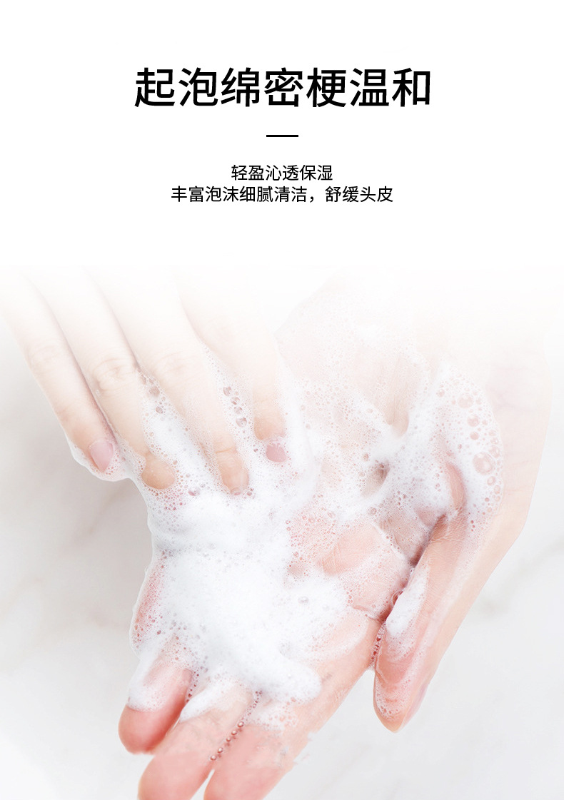 Ginger Shampoo Antioff Oil Control AntiDandruf and Relieve Itching Shampoo Tea Seed Oil Hair Conditioner Whole Delivery