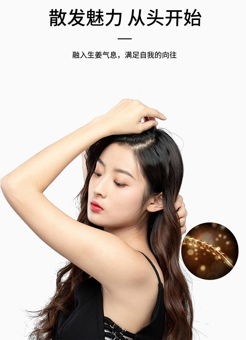 Ginger Shampoo Antioff Oil Control AntiDandruf and Relieve Itching Shampoo Tea Seed Oil Hair Conditioner Whole Delivery
