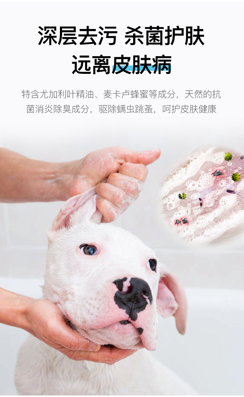 Special for Dogs TeddyGolden Retriever Bichon Samoyed Laughing Pet Dog Shower Gel Shampoo Pet Supplies Whole Supplies Special for Dogs TeddyGolden Retriever Bichon Samoyed Laughing Pet Dog Shower Gel Shampoo Pet Supplies Whole Supplies