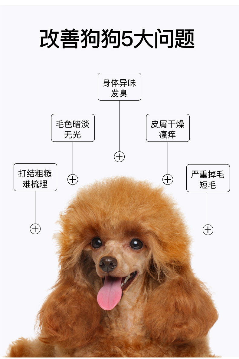 Special for Dogs TeddyGolden Retriever Bichon Samoyed Laughing Pet Dog Shower Gel Shampoo Pet Supplies Whole Supplies Special for Dogs TeddyGolden Retriever Bichon Samoyed Laughing Pet Dog Shower Gel Shampoo Pet Supplies Whole Supplies
