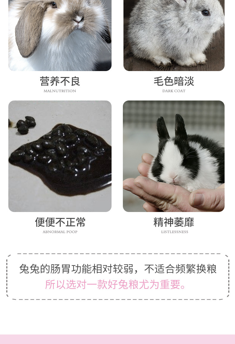 Pet Shangtian OEM Rabbit Food Timothy Rabbit Feed Pet Feed Clover Rabbit Feed Rabbit Grass Wholesale