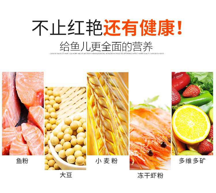Pet Fish Food Ornamental Fish Feed Blood Parrot Fish Red Fish Food Arowana Map Lucky Arhat Goldfish Turtle Feed Pet Fish Food Ornamental Fish Feed Blood Parrot Fish Red Fish Food Arowana Map Lucky Arhat Goldfish Turtle Feed