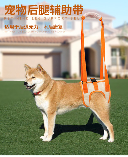 Feed Medication Utensil New Double Water Medicine Calcium Tablets MedicineFeeding Rod Dog Feeder in Stock Custom Logo