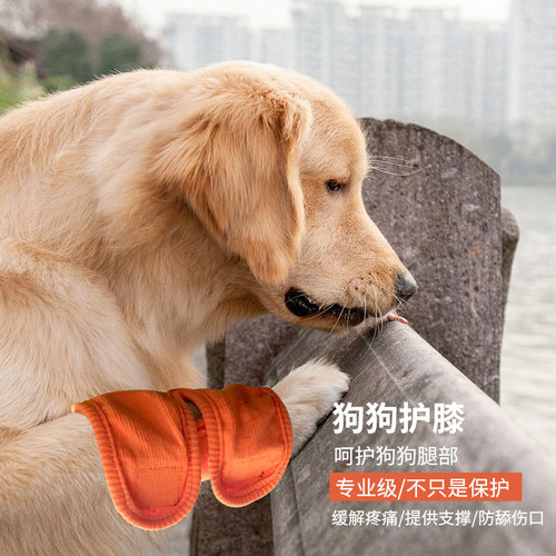 Feed Medication Utensil New Double Water Medicine Calcium Tablets MedicineFeeding Rod Dog Feeder in Stock Custom Logo