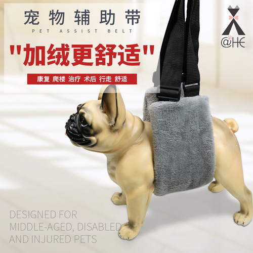 Feed Medication Utensil New Double Water Medicine Calcium Tablets MedicineFeeding Rod Dog Feeder in Stock Custom Logo
