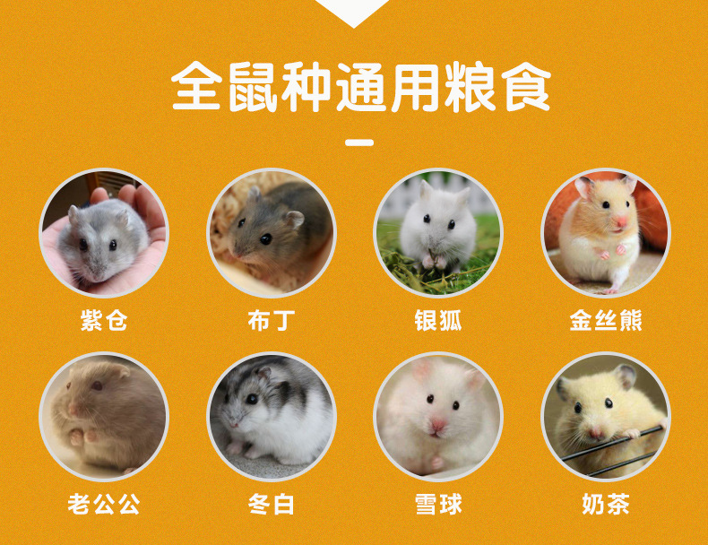 Whole Line Food 1200ml Hamster Food Staple Food Nutrition Mealworm Snack Barrel Food Grain Molar Feed