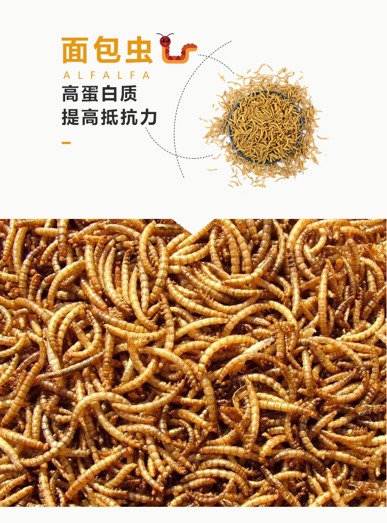 Whole Line Food 1200ml Hamster Food Staple Food Nutrition Mealworm Snack Barrel Food Grain Molar Feed