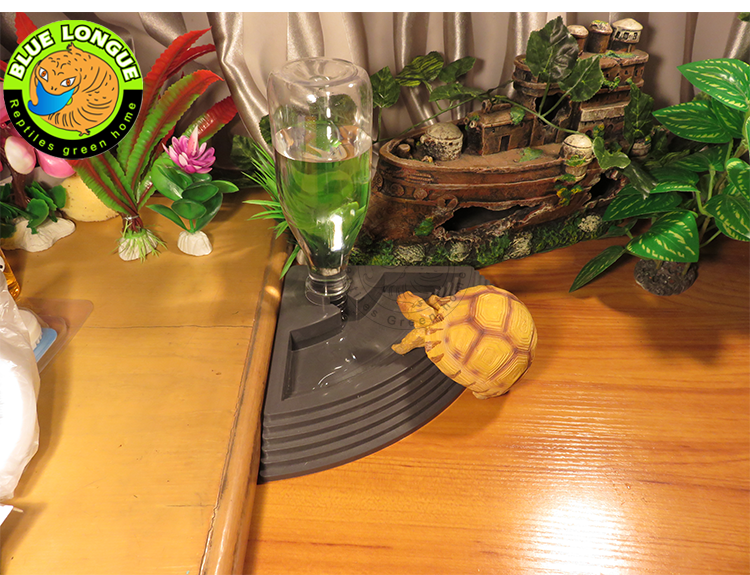 Crawler Drink Fountain Tortoise Green Iguana Leopard Basin Water Dispenser Reptile Tank Landscape Suka Red Leg Leopard