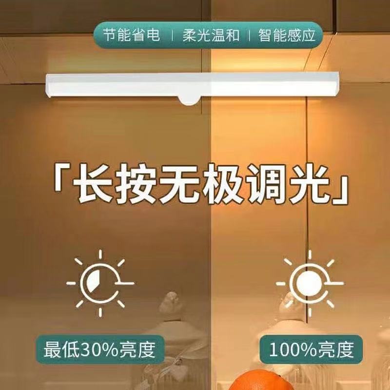 Body Induction Strip USB Charging Small Night Lamp Wardrobe Led Creative BedsideUse Student Learning Indoor Desk Lamp