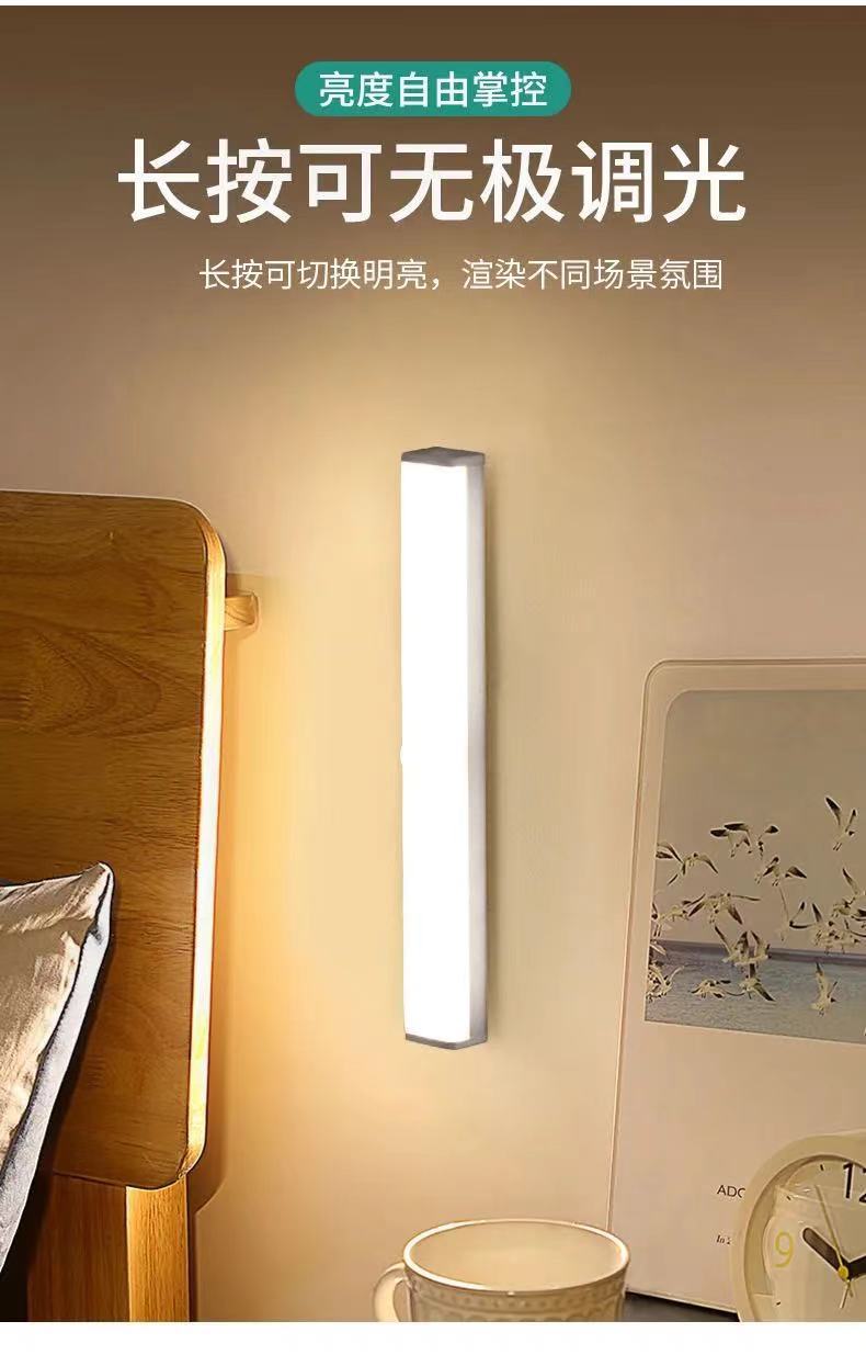 Body Induction Strip USB Charging Small Night Lamp Wardrobe Led Creative BedsideUse Student Learning Indoor Desk Lamp