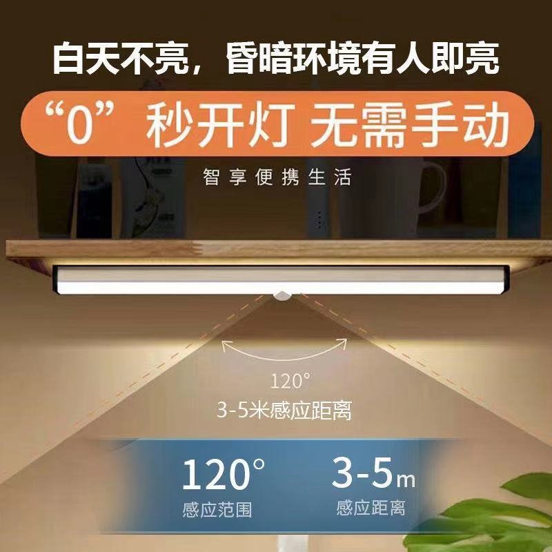 Body Induction Strip USB Charging Small Night Lamp Wardrobe Led Creative BedsideUse Student Learning Indoor Desk Lamp