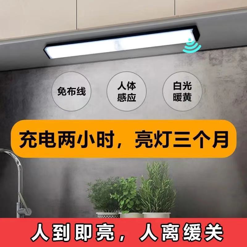 Body Induction Strip USB Charging Small Night Lamp Wardrobe Led Creative BedsideUse Student Learning Indoor Desk Lamp