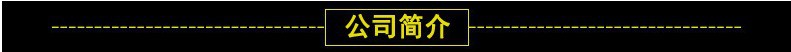 New outdoor waterproof double hole laser light Christmas laser lawn light red and green starry garden projection lamp
