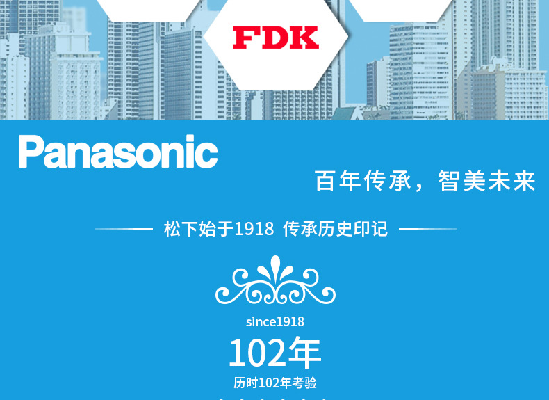 Panasonic CR2032 CR2477 CR2450 CR1632 CR2016 Cr3032 Button Cell