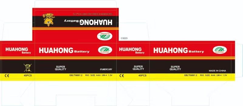 HUAHONG '