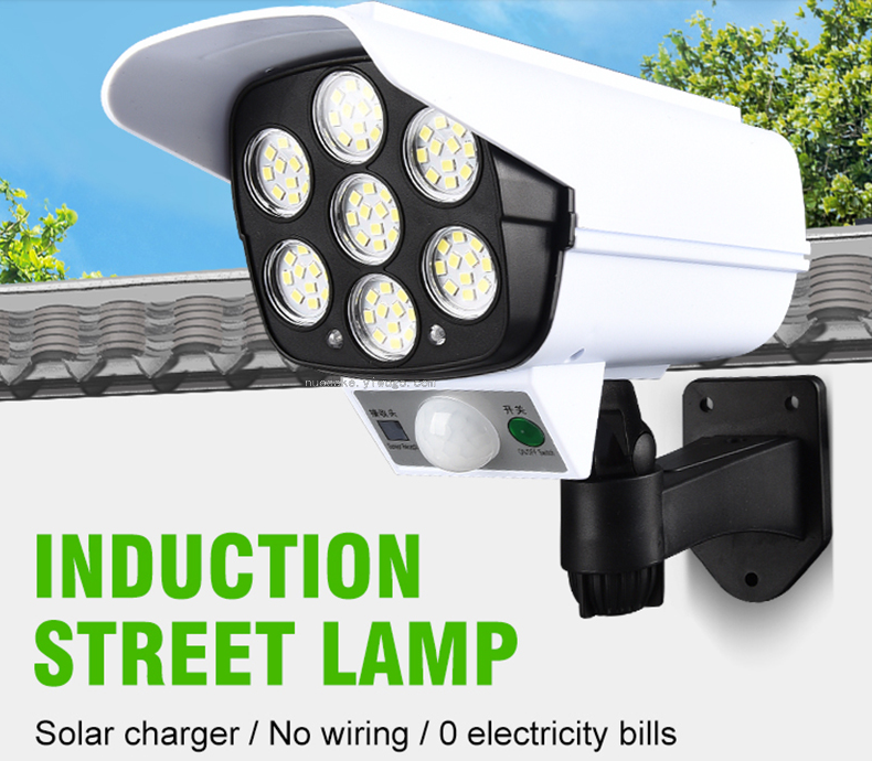 Remote Control Solar Simulation Monitoring  Human Body Induction Small Street Light Courtyard Solar Fake Monitor Lamp