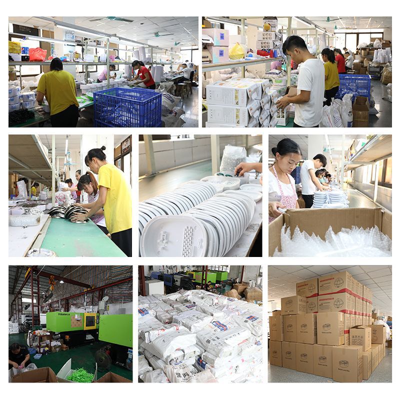 Factory Direct Sales Egg Boiler Single-Layer Breakfast Chicken Head Egg Cokker Kitchen Small Egg Cooker