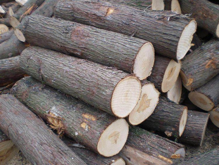 Wholesale cedar soak foot tub foot bath tub adult 40 cm wood tub full solid wood high and thick Wholesale cedar soak foot tub foot bath tub adult 40 cm wood tub full solid wood high and thick