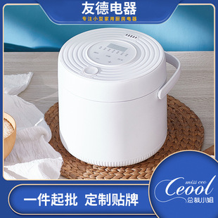 Household Small Rice Cooker Multi-Functional Kitchen Household Appliances Mini Household Appliances Electric Cooker