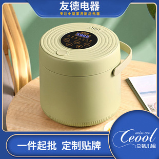 Household Small Rice Cooker Multi-Functional Kitchen Household Appliances Mini Household Appliances Electric Cooker