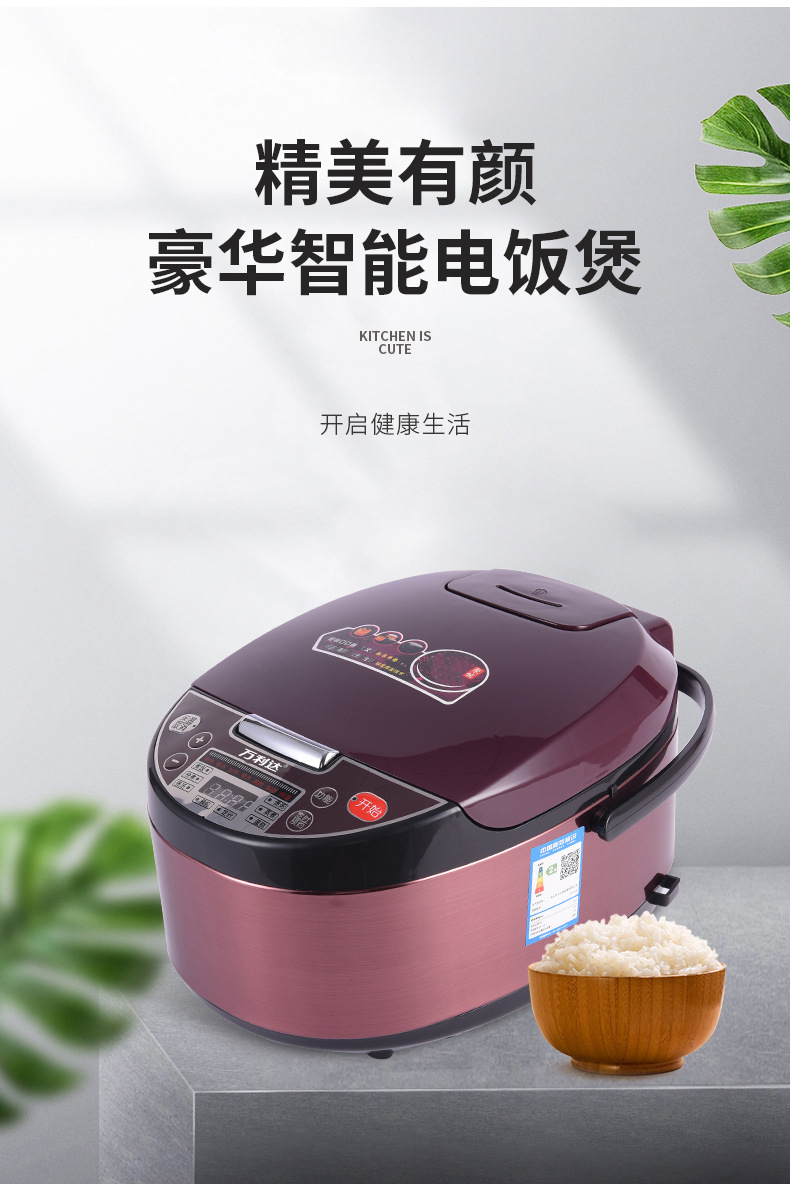Cooker 5L Rice Cooker Household Multifunctional Electric Cooker Small Household Appliances Commercial Porridge Whole Cooker 5L Rice Cooker Household Multifunctional Electric Cooker Small Household Appliances Commercial Porridge Whole