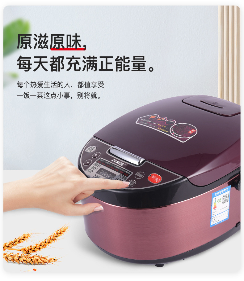 Cooker 5L Rice Cooker Household Multifunctional Electric Cooker Small Household Appliances Commercial Porridge Whole Cooker 5L Rice Cooker Household Multifunctional Electric Cooker Small Household Appliances Commercial Porridge Whole
