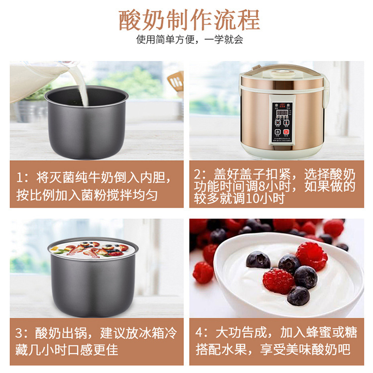 Black Garlic MultiFunctional Black Garlic Rice Wine Small Large Capacity Commercial Yogurt Machine Household Automatic